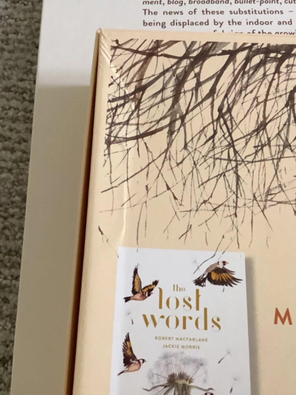 Bundle:  The Lost Words Book and Puzzle - Picture 13 of 13